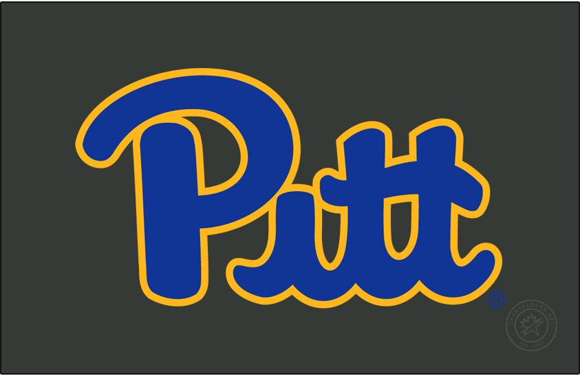 Pittsburgh Panthers 2019-Pres Primary Dark Logo diy DTF decal sticker